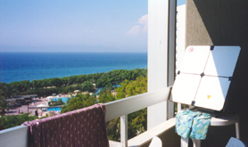 Drying swimming trunks by microwave